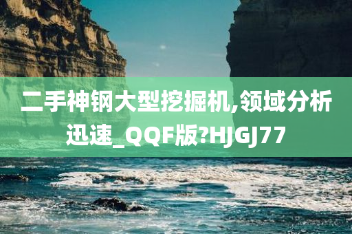 二手神钢大型挖掘机,领域分析迅速_QQF版?HJGJ77