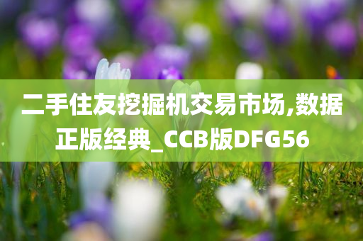 二手住友挖掘机交易市场,数据正版经典_CCB版DFG56