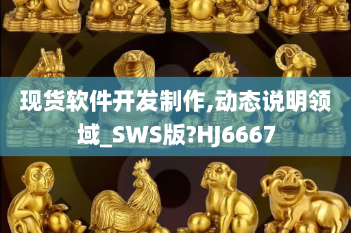 现货软件开发制作,动态说明领域_SWS版?HJ6667