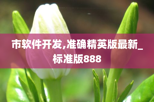 市软件开发,准确精英版最新_标准版888