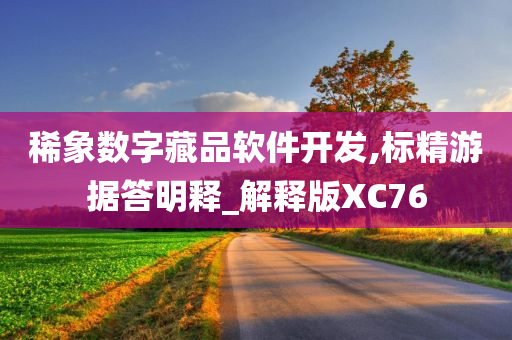 稀象数字藏品软件开发,标精游据答明释_解释版XC76