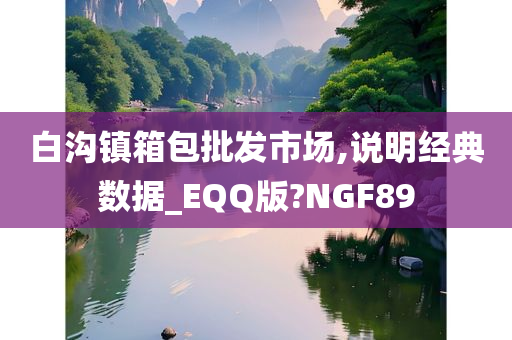 白沟镇箱包批发市场,说明经典数据_EQQ版?NGF89