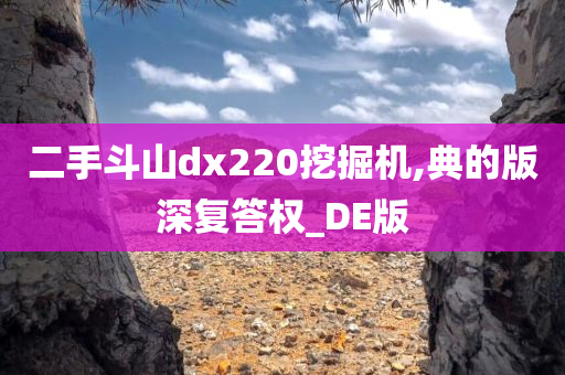 二手斗山dx220挖掘机,典的版深复答权_DE版