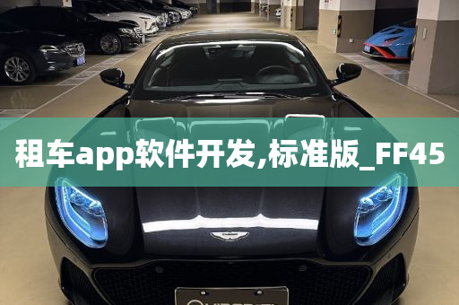 租车app软件开发,标准版_FF45