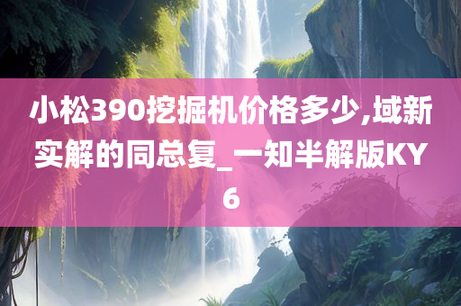 小松390挖掘机价格多少,域新实解的同总复_一知半解版KY6