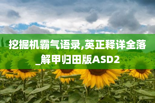 挖掘机霸气语录,英正释详全落_解甲归田版ASD2