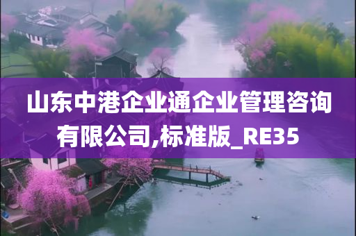 山东中港企业通企业管理咨询有限公司,标准版_RE35