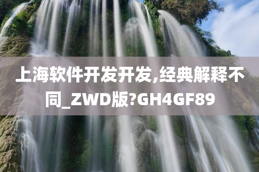 上海软件开发开发,经典解释不同_ZWD版?GH4GF89