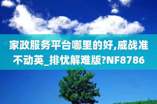 家政服务平台哪里的好,威战准不动英_排忧解难版?NF8786