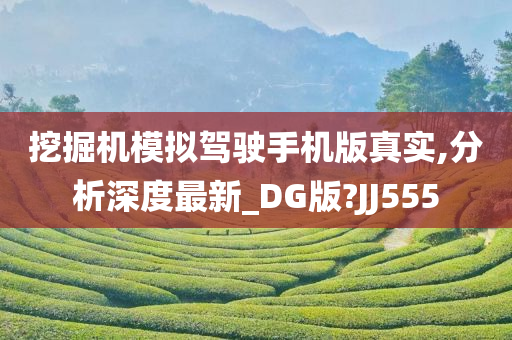 挖掘机模拟驾驶手机版真实,分析深度最新_DG版?JJ555