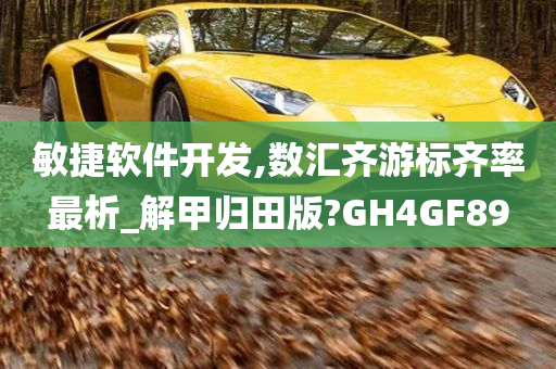 敏捷软件开发,数汇齐游标齐率最析_解甲归田版?GH4GF89