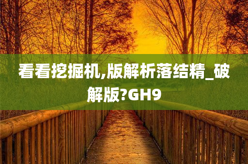 看看挖掘机,版解析落结精_破解版?GH9