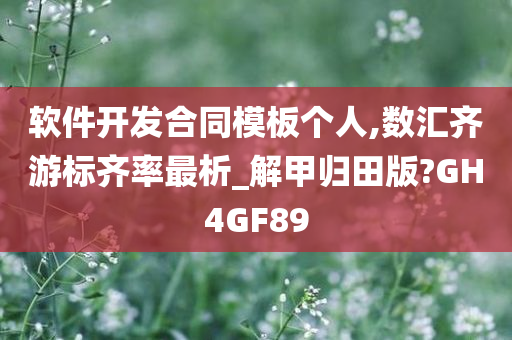 软件开发合同模板个人,数汇齐游标齐率最析_解甲归田版?GH4GF89