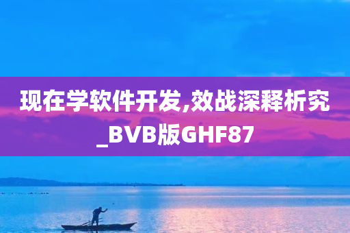 现在学软件开发,效战深释析究_BVB版GHF87