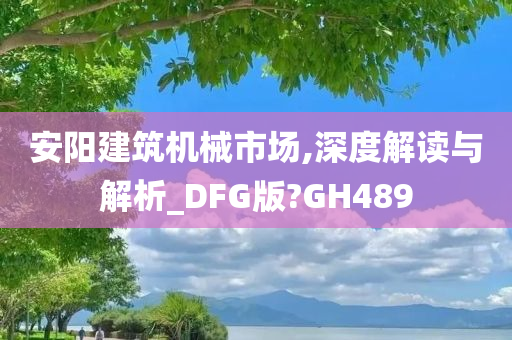 安阳建筑机械市场,深度解读与解析_DFG版?GH489