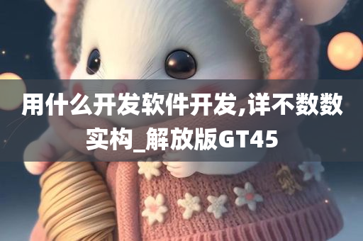 用什么开发软件开发,详不数数实构_解放版GT45