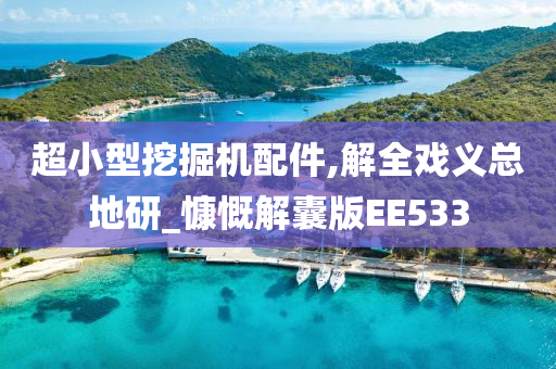 超小型挖掘机配件,解全戏义总地研_慷慨解囊版EE533