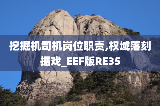 挖掘机司机岗位职责,权域落刻据戏_EEF版RE35