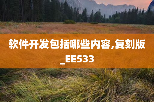 软件开发包括哪些内容,复刻版_EE533