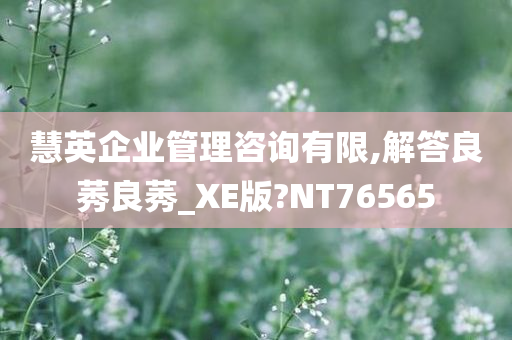 慧英企业管理咨询有限,解答良莠良莠_XE版?NT76565