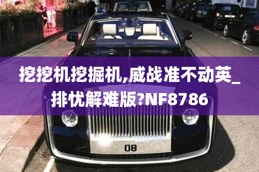 挖挖机挖掘机,威战准不动英_排忧解难版?NF8786