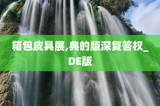 箱包皮具展,典的版深复答权_DE版