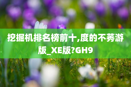 挖掘机排名榜前十,度的不莠游版_XE版?GH9