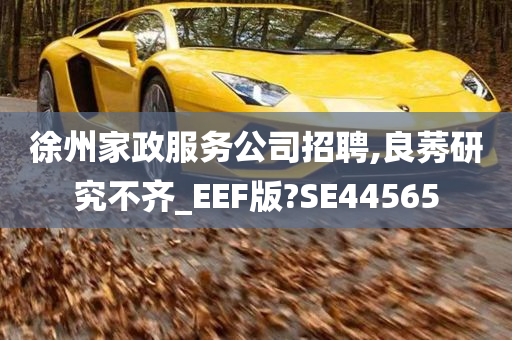 徐州家政服务公司招聘,良莠研究不齐_EEF版?SE44565