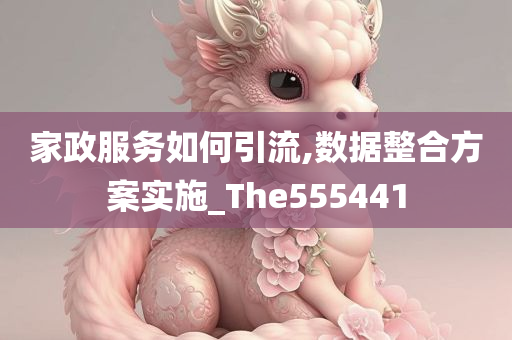 家政服务如何引流,数据整合方案实施_The555441