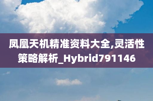 凤凰天机精准资料大全,灵活性策略解析_Hybrid791146