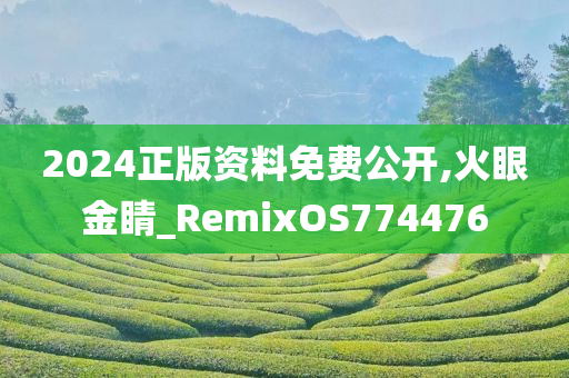 2024正版资料免费公开,火眼金睛_RemixOS774476