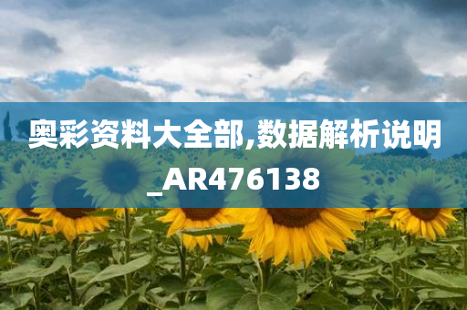 奥彩资料大全部,数据解析说明_AR476138