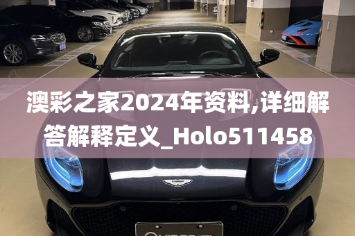 澳彩之家2024年资料,详细解答解释定义_Holo511458