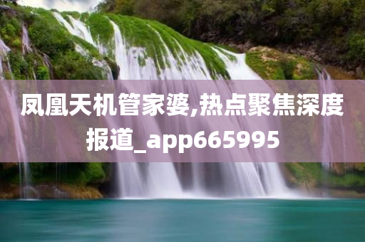 凤凰天机管家婆,热点聚焦深度报道_app665995