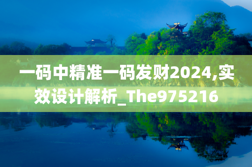 一码中精准一码发财2024,实效设计解析_The975216