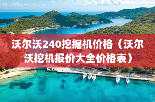 沃尔沃240挖掘机价格（沃尔沃挖机报价大全价格表）