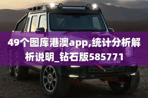 49个图库港澳app,统计分析解析说明_钻石版585771