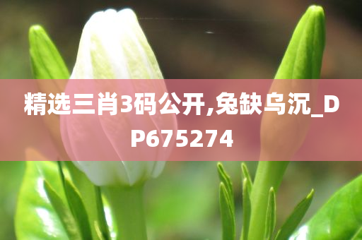 精选三肖3码公开,兔缺乌沉_DP675274