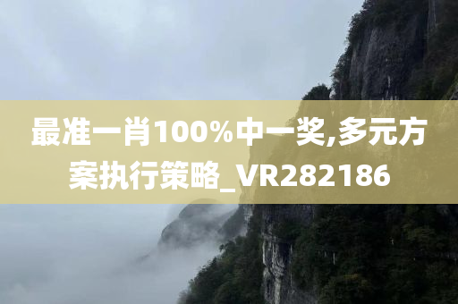 最准一肖100%中一奖,多元方案执行策略_VR282186