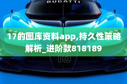 17的图库资料app,持久性策略解析_进阶款818189