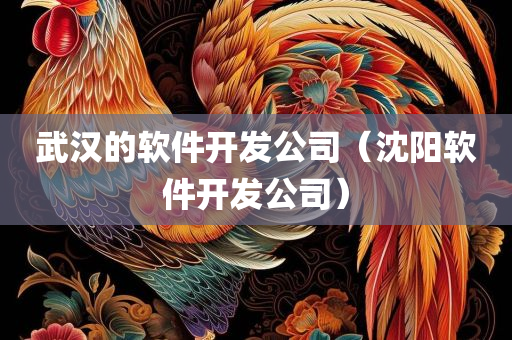 武汉的软件开发公司（沈阳软件开发公司）