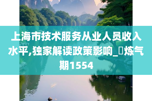 上海市技术服务从业人员收入水平,独家解读政策影响_‌炼气期1554