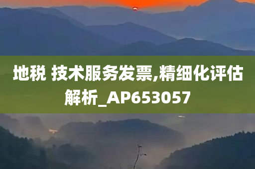 地税 技术服务发票,精细化评估解析_AP653057