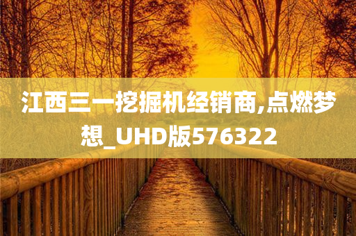 江西三一挖掘机经销商,点燃梦想_UHD版576322