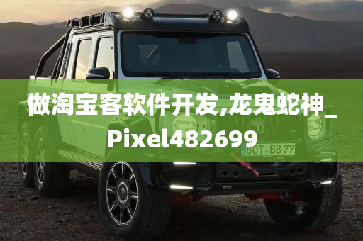 做淘宝客软件开发,龙鬼蛇神_Pixel482699