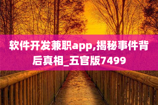 软件开发兼职app,揭秘事件背后真相_五官版7499