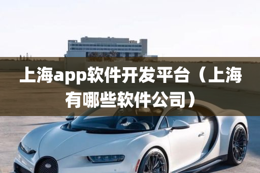 上海app软件开发平台（上海有哪些软件公司）