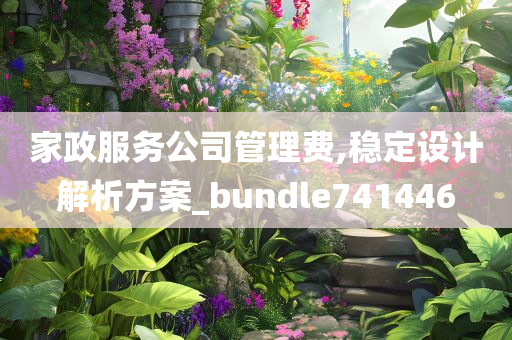 家政服务公司管理费,稳定设计解析方案_bundle741446