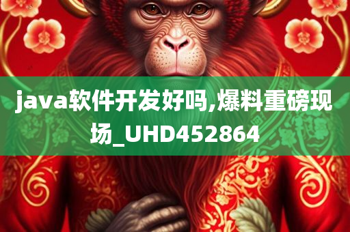 java软件开发好吗,爆料重磅现场_UHD452864