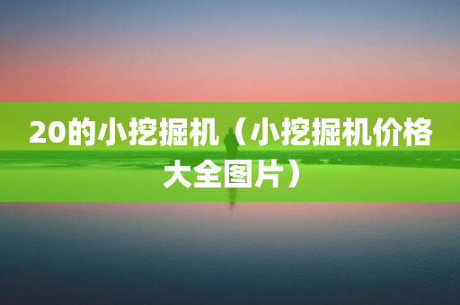 20的小挖掘机（小挖掘机价格大全图片）